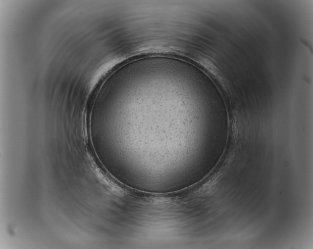 X0000099411030200805231559