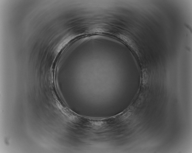 X0000099411031200805231559