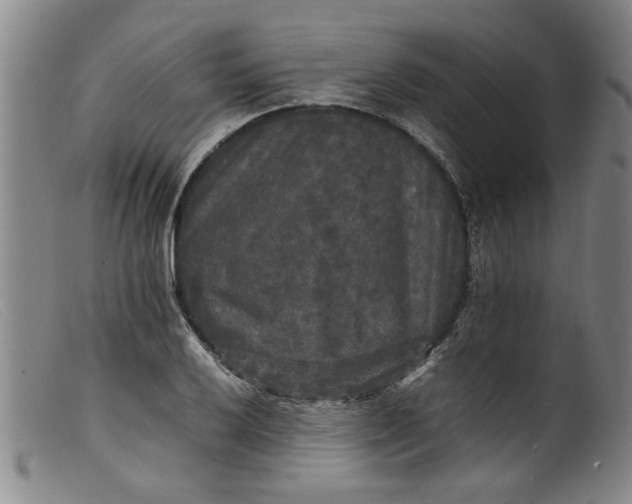 X0000099411032200805231559