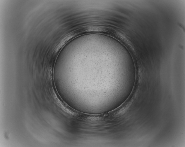 X0000099411033200805231559