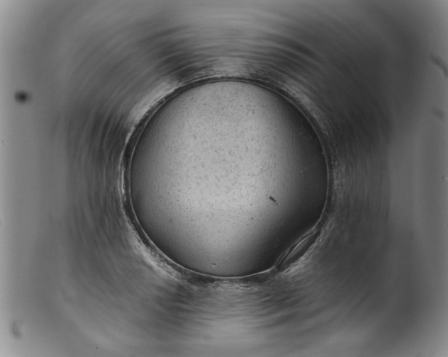 X0000099411034200805231559