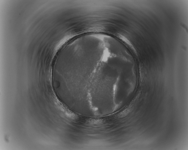 X0000099411035200805231559