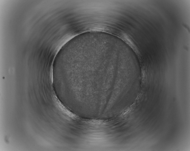 X0000099411036200805231559