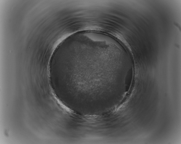 X0000099411037200805231559