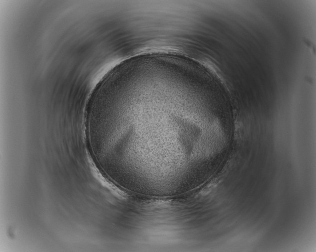 X0000099411038200805231559