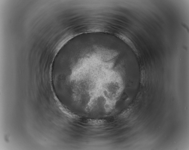 X0000099411039200805231559