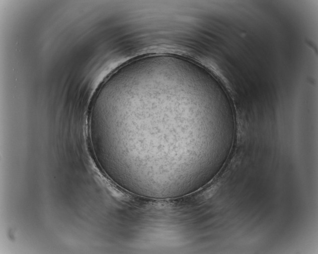 X0000099411040200805231559