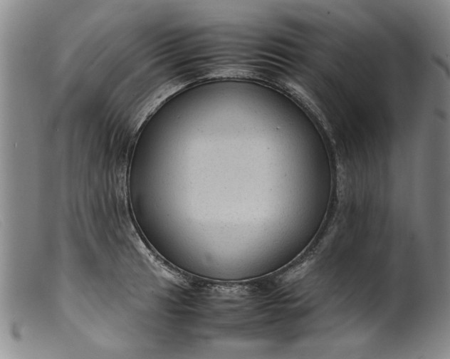 X0000099411041200805231559