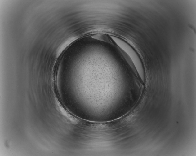 X0000099411042200805231559