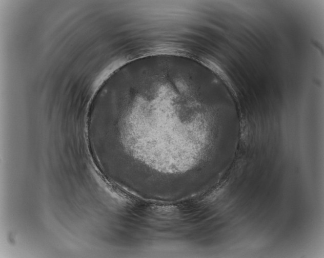 X0000099411043200805231559