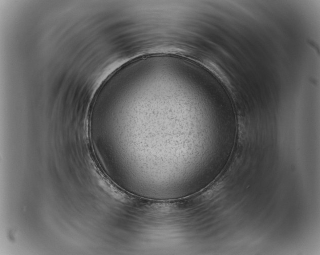 X0000099411044200805231559