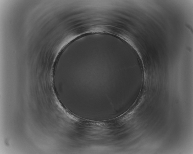 X0000099411045200805231559