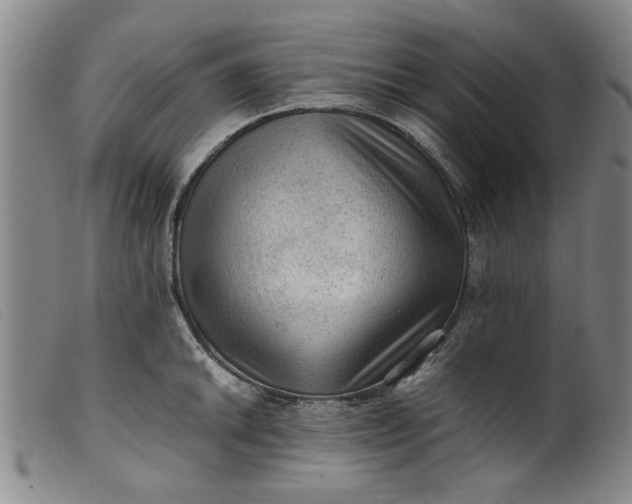 X0000099411046200805231559