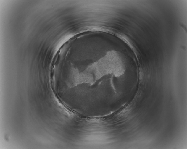 X0000099411048200805231559