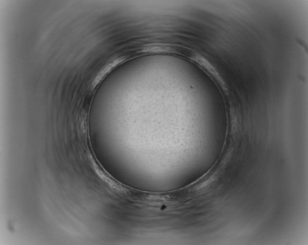 X0000099411049200805231559