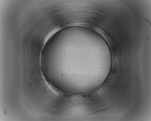 X0000099411050200805231559