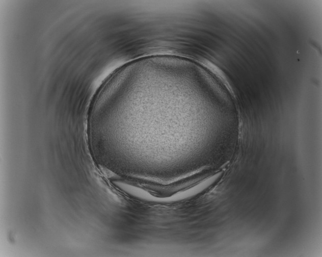 X0000099411051200805231559