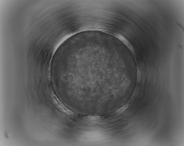 X0000099411052200805231559