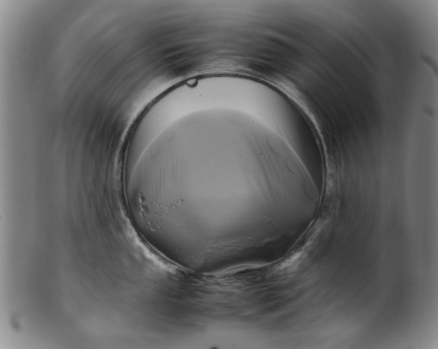 X0000099411053200805231559