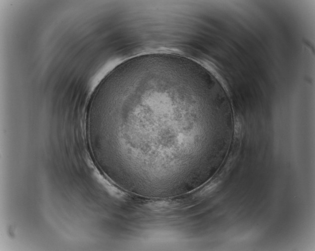 X0000099411054200805231559