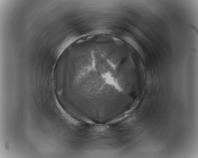 X0000099411055200805231559