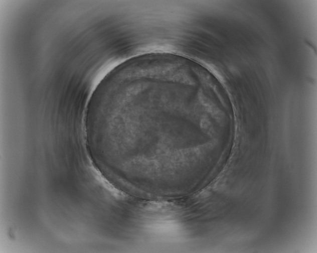 X0000099411056200805231559