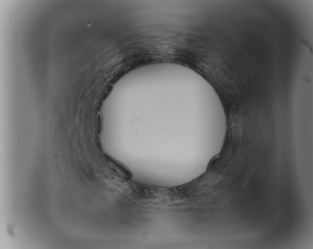 X0000099411057200805231559