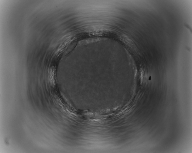 X0000099411060200805231559