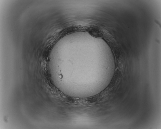 X0000099411061200805231559