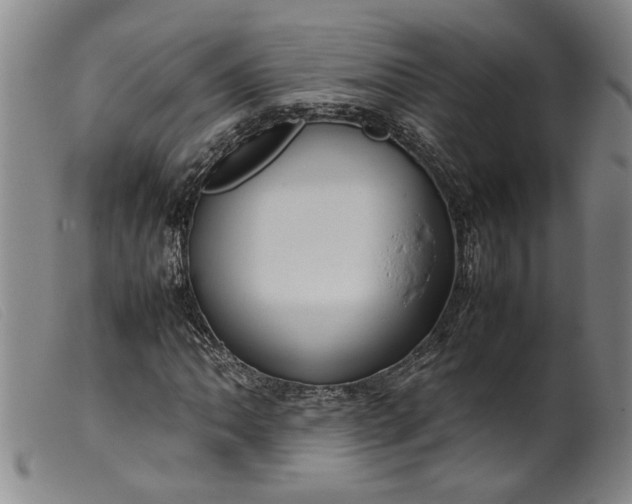 X0000099411062200805231559