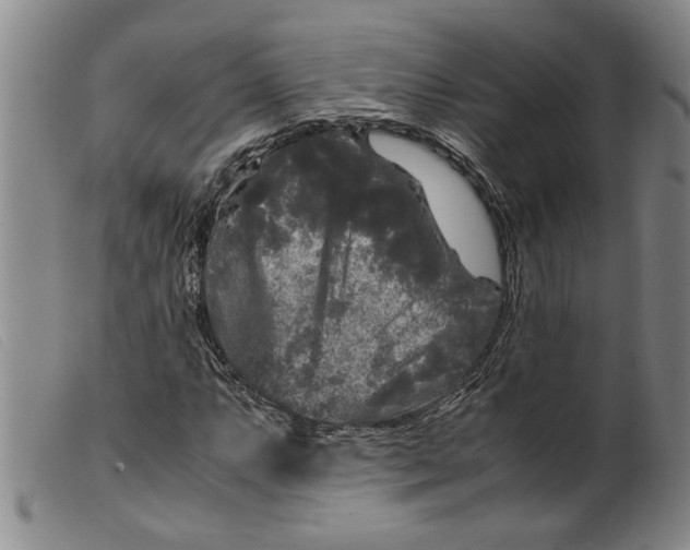 X0000099411063200805231559