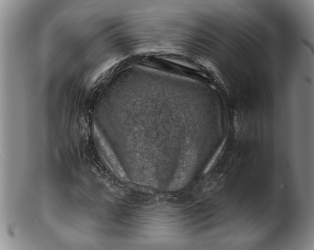 X0000099411064200805231559