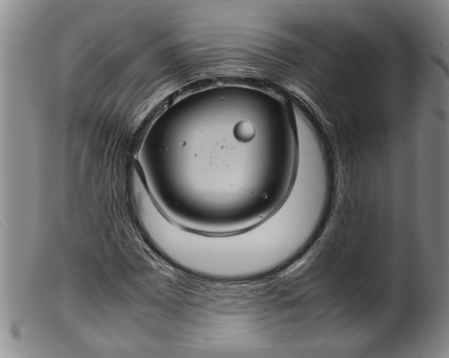 X0000099411065200805231559