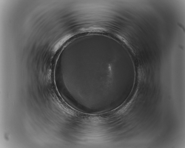 X0000099411066200805231558