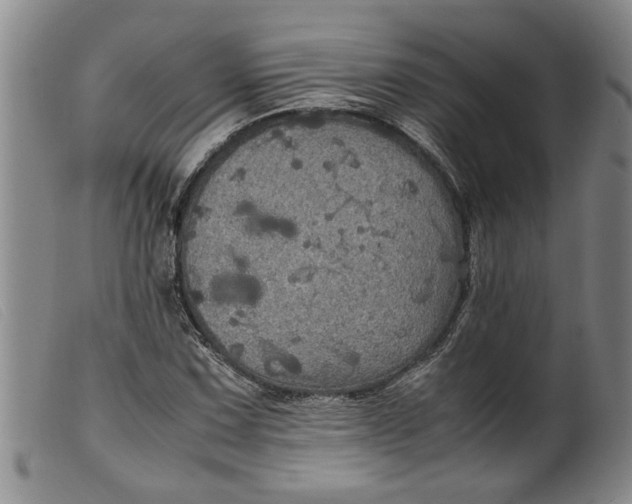 X0000099411067200805231558