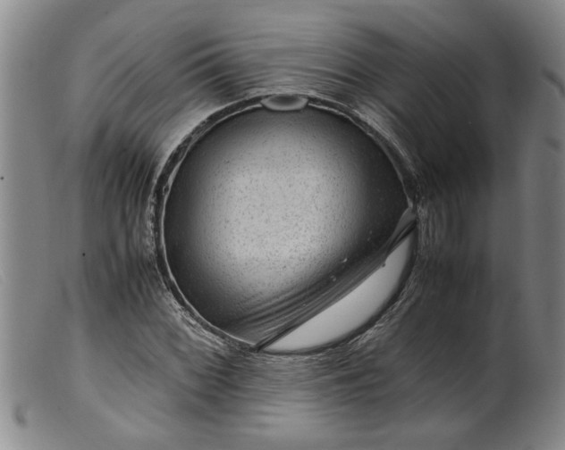 X0000099411068200805231558