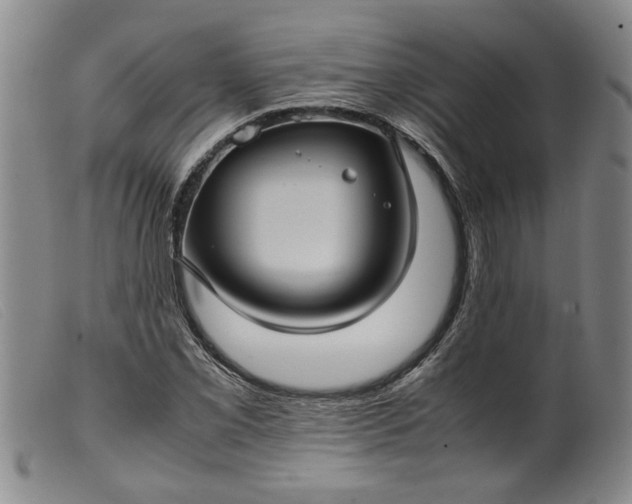 X0000099411069200805231558