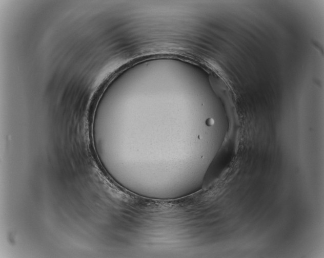 X0000099411072200805231558