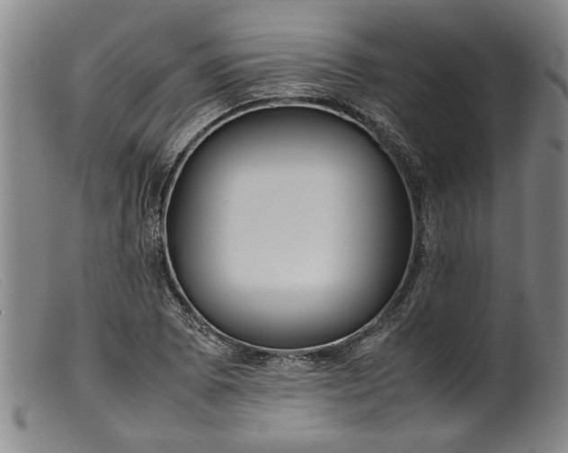 X0000099411073200805231558