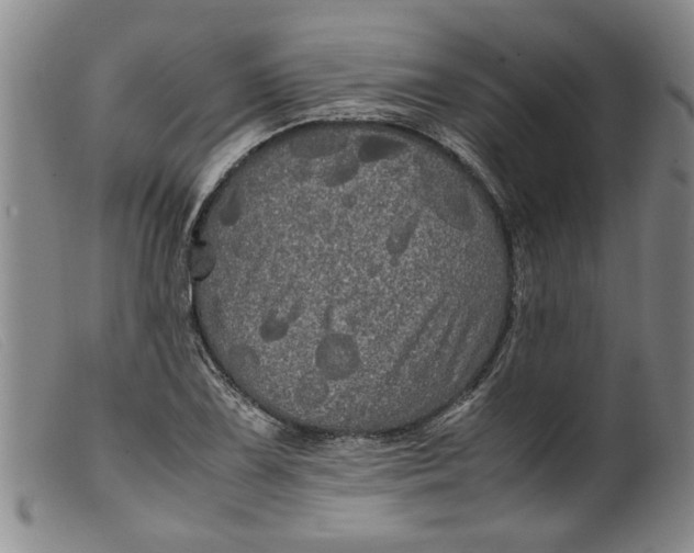 X0000099411075200805231558