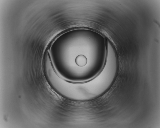 X0000099411076200805231558