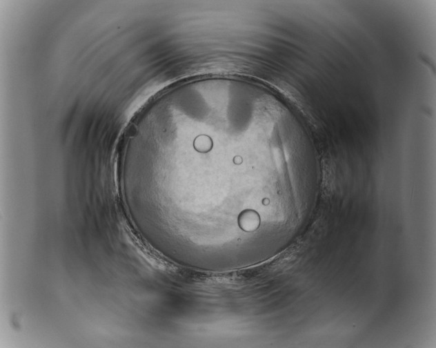 X0000099411078200805231558