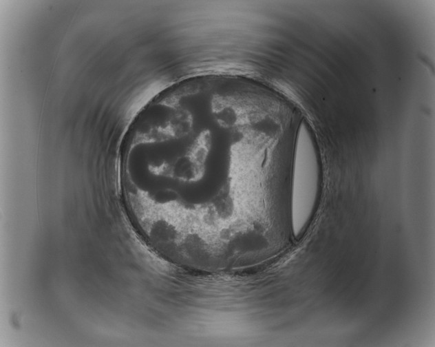 X0000099411079200805231558