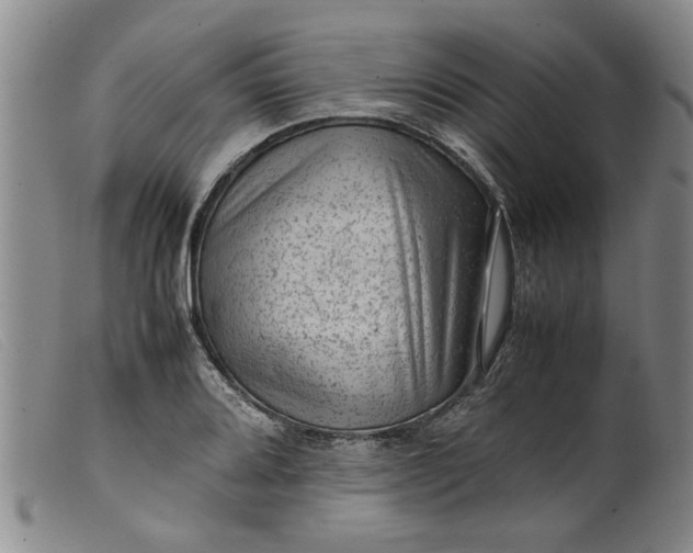 X0000099411080200805231558