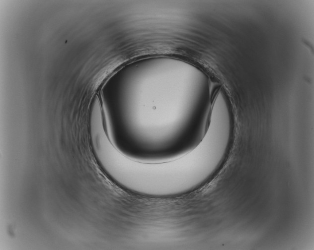 X0000099411081200805231558