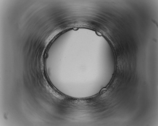 X0000099411082200805231558