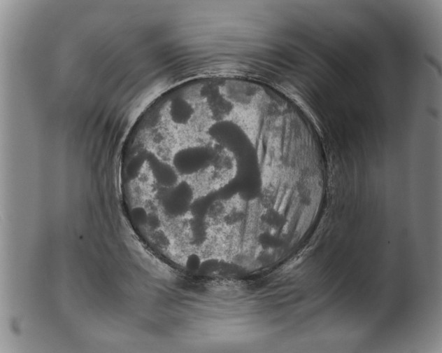 X0000099411083200805231558