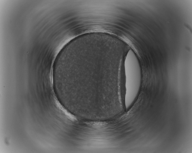 X0000099411084200805231558