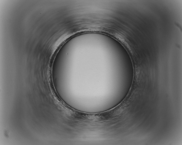 X0000099411085200805231558