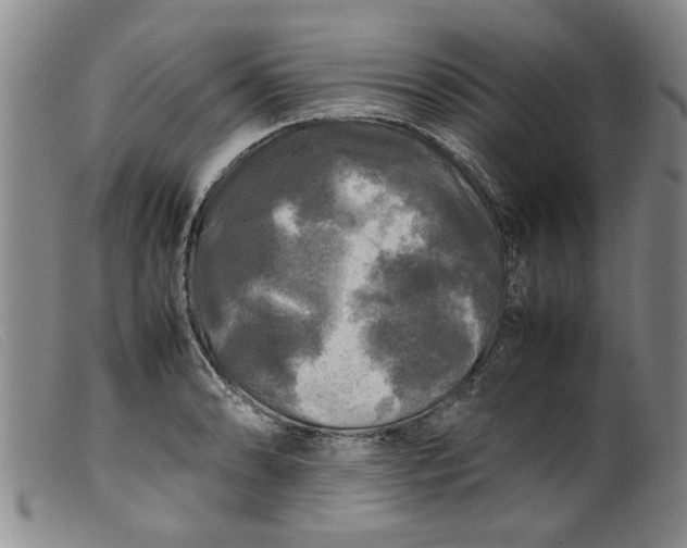 X0000099411086200805231558